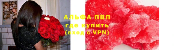 стаф Киренск