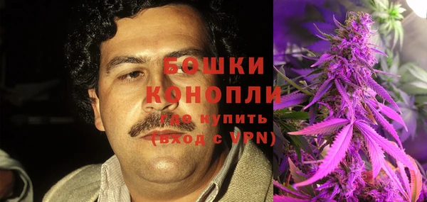 крисы Касимов