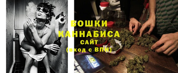 молекула духа Кинешма