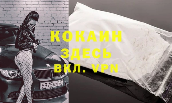 крисы Касимов