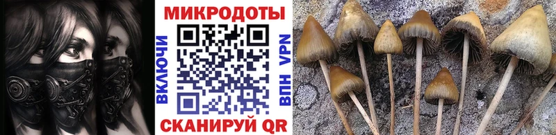 Псилоцибиновые грибы мицелий Балаково