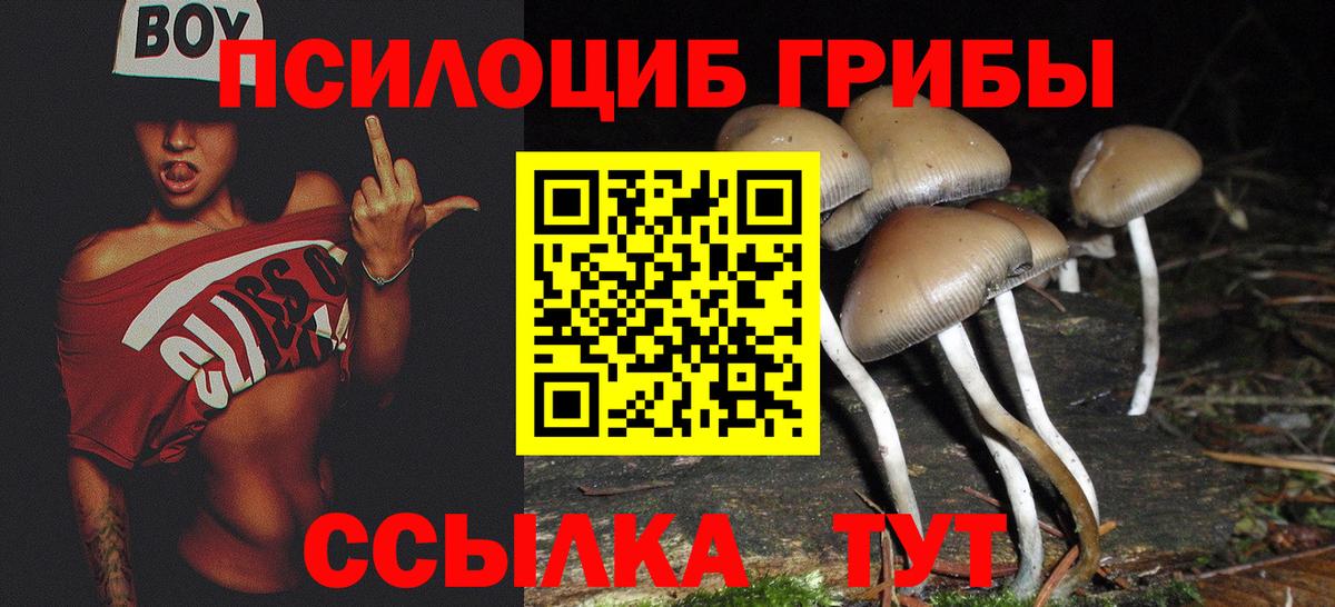 Балаково  Псилоцибиновые грибы Magic Shrooms  Вход с VPN  Псилоцибиновые грибы мицелий 
