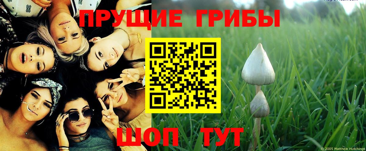 Псилоцибиновые грибы мухоморы  Балаково 