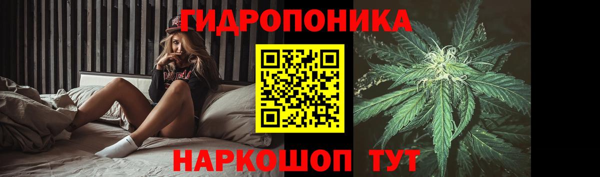 Каннабис сатива  МАРИХУАНА ГИДРОПОН  Балаково  Вход с VPN 